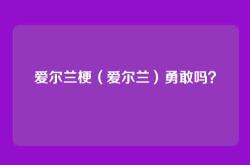 爱尔兰梗（爱尔兰）勇敢吗？