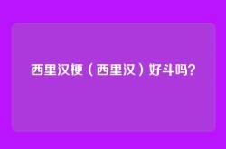 西里汉梗（西里汉）好斗吗？