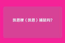 凯恩梗（凯恩）捕鼠吗？