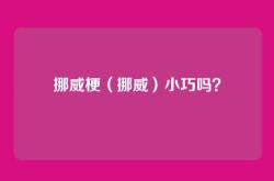 挪威梗（挪威）小巧吗？
