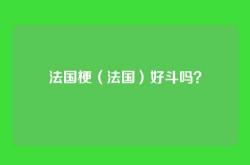 法国梗（法国）好斗吗？