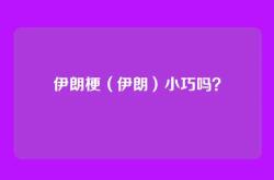 伊朗梗（伊朗）小巧吗？