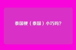 泰国梗（泰国）小巧吗？