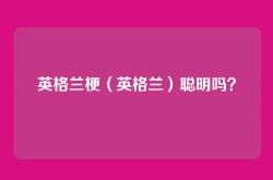 英格兰梗（英格兰）聪明吗？