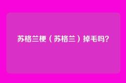 苏格兰梗（苏格兰）掉毛吗？