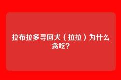 拉布拉多寻回犬（拉拉）为什么贪吃？