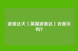 波音达犬（英国波音达）会指示吗？
