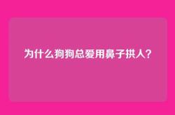 为什么狗狗总爱用鼻子拱人？