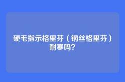 硬毛指示格里芬（钢丝格里芬）耐寒吗？