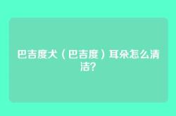 巴吉度犬（巴吉度）耳朵怎么清洁？