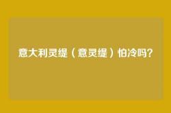 意大利灵缇（意灵缇）怕冷吗？