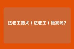 法老王猎犬（法老王）漂亮吗？