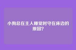 小狗总在主人睡觉时守在床边的原因？