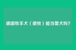 德国牧羊犬（德牧）能当警犬吗？