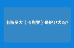 卡斯罗犬（卡斯罗）是护卫犬吗？