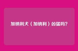 加纳利犬（加纳利）凶猛吗？