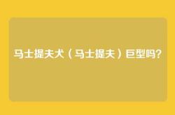 马士提夫犬（马士提夫）巨型吗？