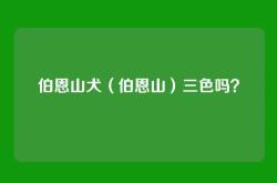 伯恩山犬（伯恩山）三色吗？