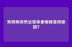 宠物狗突然出现体重骤降是何原因？