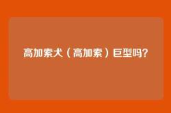 高加索犬（高加索）巨型吗？