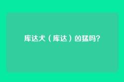 库达犬（库达）凶猛吗？