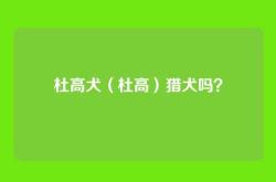 杜高犬（杜高）猎犬吗？