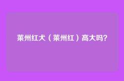莱州红犬（莱州红）高大吗？