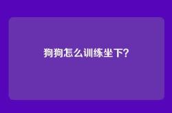 狗狗怎么训练坐下？