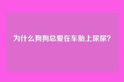 为什么狗狗总爱在车胎上尿尿？