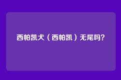 西帕凯犬（西帕凯）无尾吗？