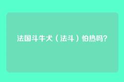 法国斗牛犬（法斗）怕热吗？