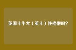 英国斗牛犬（英斗）性格懒吗？