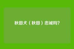 秋田犬（秋田）忠诚吗？