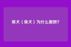 柴犬（柴犬）为什么傲娇？
