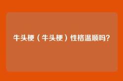 牛头梗（牛头梗）性格温顺吗？
