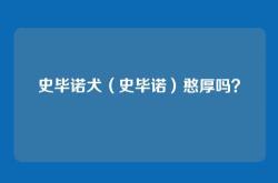 史毕诺犬（史毕诺）憨厚吗？