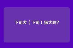 下司犬（下司）猎犬吗？