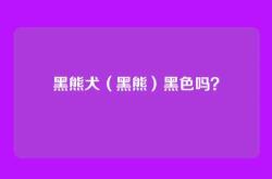 黑熊犬（黑熊）黑色吗？