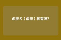 虎斑犬（虎斑）稀有吗？