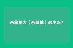 西藏袖犬（西藏袖）最小吗？