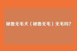 秘鲁无毛犬（秘鲁无毛）无毛吗？