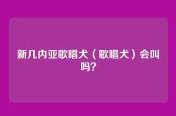 新几内亚歌唱犬（歌唱犬）会叫吗？