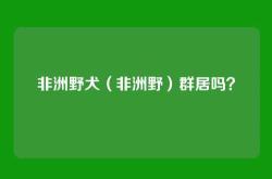 非洲野犬（非洲野）群居吗？