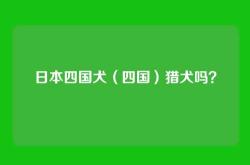 日本四国犬（四国）猎犬吗？