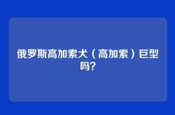 俄罗斯高加索犬（高加索）巨型吗？