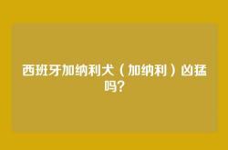西班牙加纳利犬（加纳利）凶猛吗？