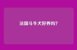 法国斗牛犬好养吗？