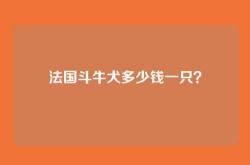 法国斗牛犬多少钱一只？
