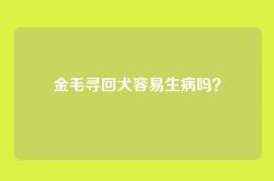 金毛寻回犬容易生病吗？