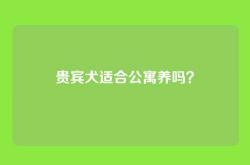 贵宾犬适合公寓养吗？